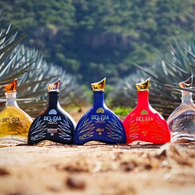 @deldiatequila profile image