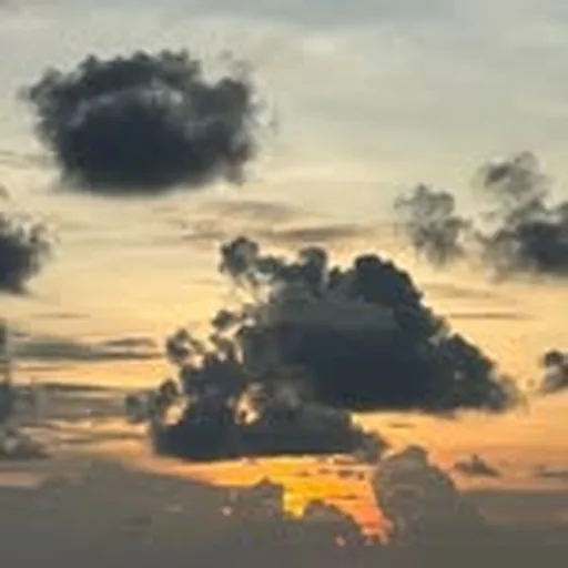 @dempseyraimakeup profile image