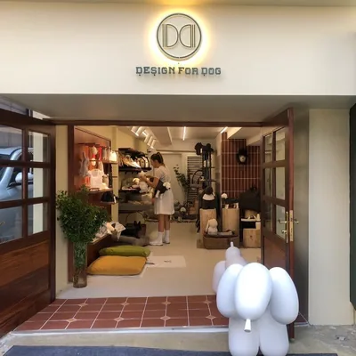 @designfordog_official_ profile image