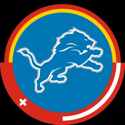 @detroitlionsdeutsch profile image
