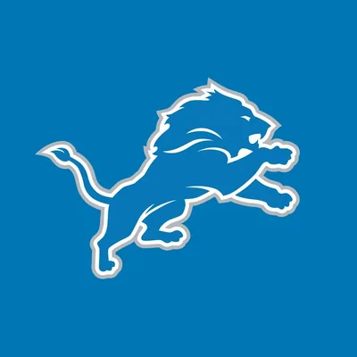 @detroitlionsnfl profile image