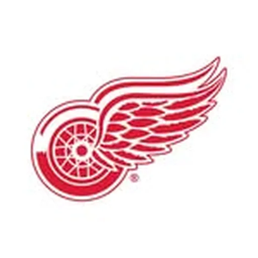 @detroitredwings profile image