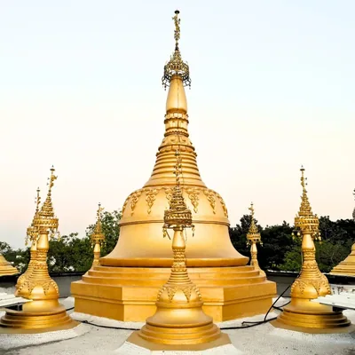 @dhammaambika profile image