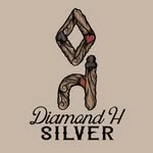 @diamondhsilver profile image