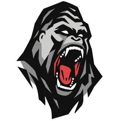 @dickson_performance profile image