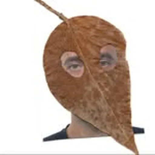 @dicor.sa profile image
