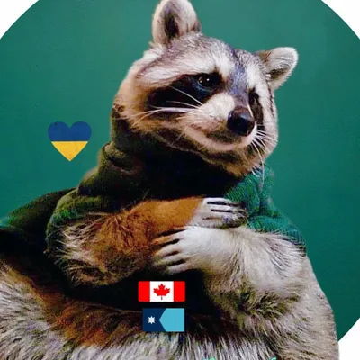 @diddlesdoes profile image