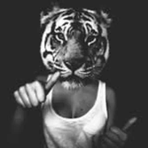 @didismuk profile image