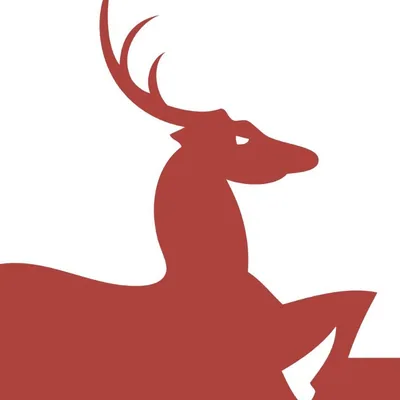 @diehirschau profile image