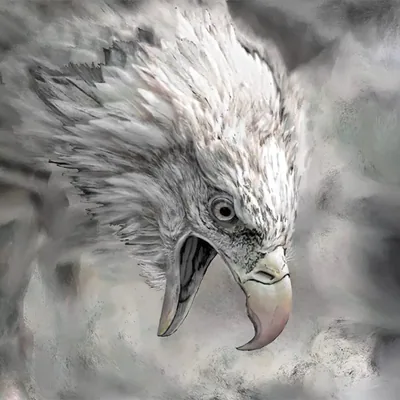 @digital_artist_20k profile image