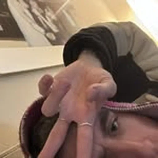 @dillistoned profile image
