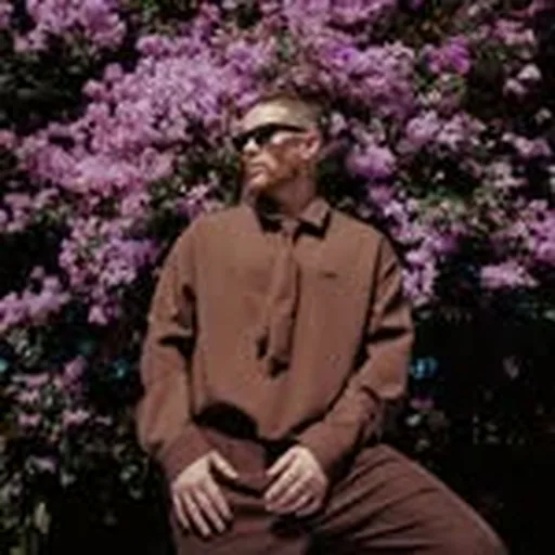 @dimpiso21 profile image