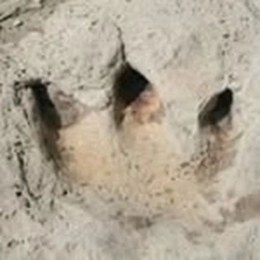 @dinovalleysp profile image