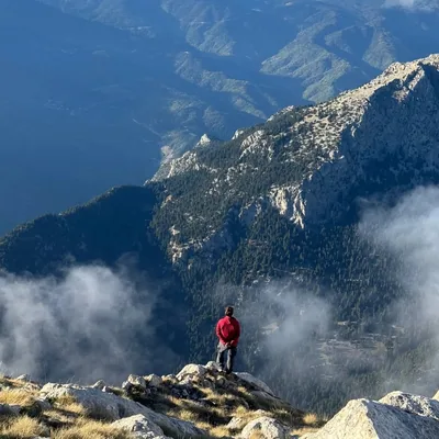 @dionisismoraitis profile image