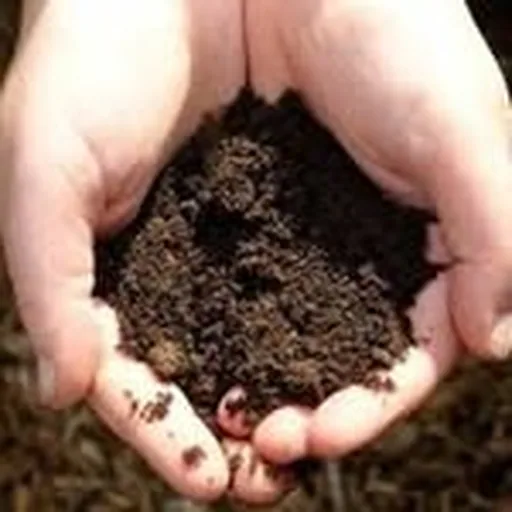 @dirt_la profile image