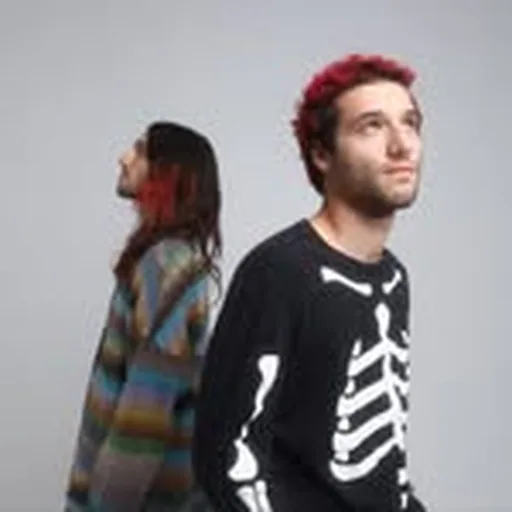 @disasterartistband profile image