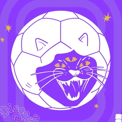@discopussuk profile image