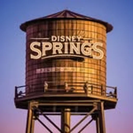 @disneysprings profile image