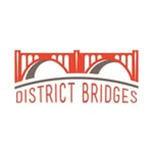 @districtbridges profile image
