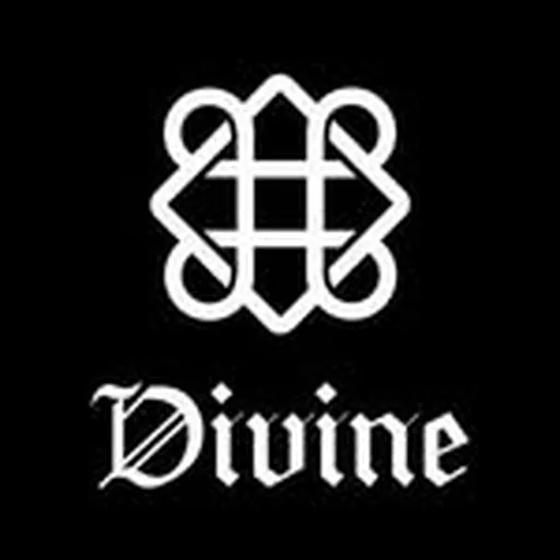 @divine.brandofficial profile image
