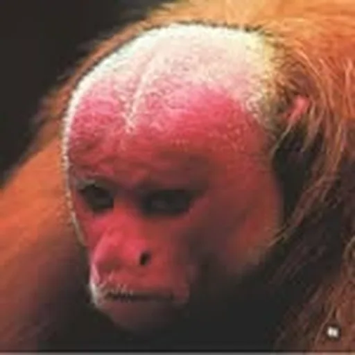 @dj_haydn profile image