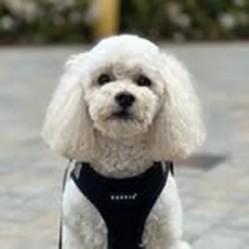 @djminimatt profile image