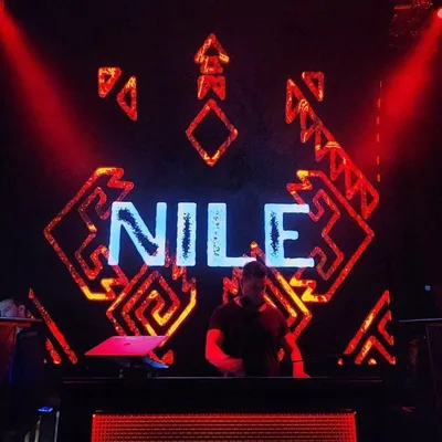 @djnilesf profile image