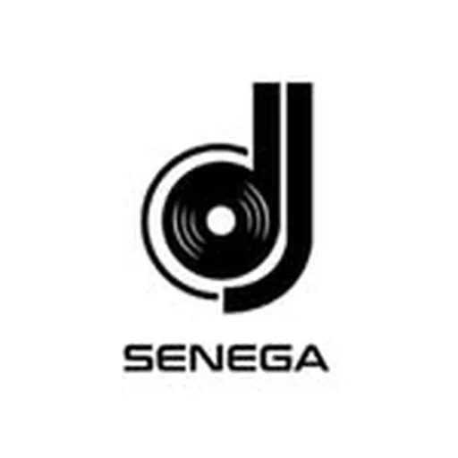 @djsenega profile image