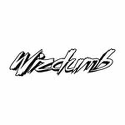 @djwizdumb profile image