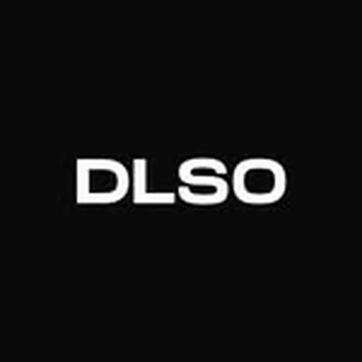 @dlso.it profile image