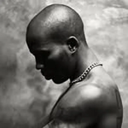 @dmx profile image