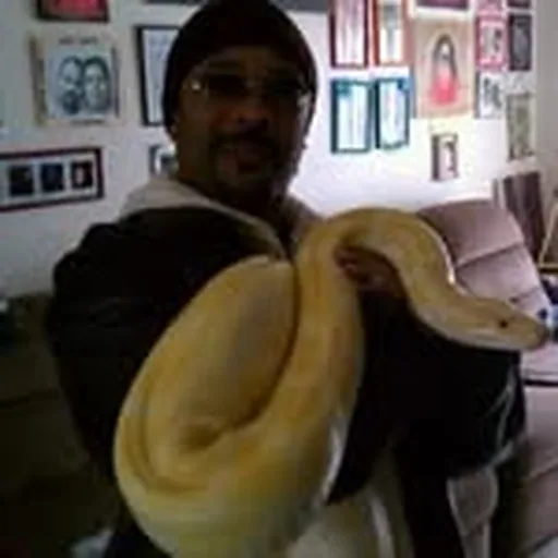 @docwilliscomedy profile image
