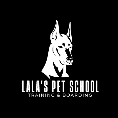 @dog_trainer_dubai.1 profile image