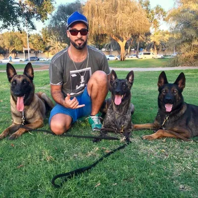 @dog_trainer_uae_ profile image