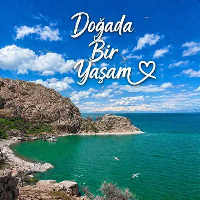 @dogadabiryasamm profile image