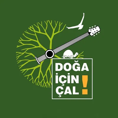 @dogaicincal profile image