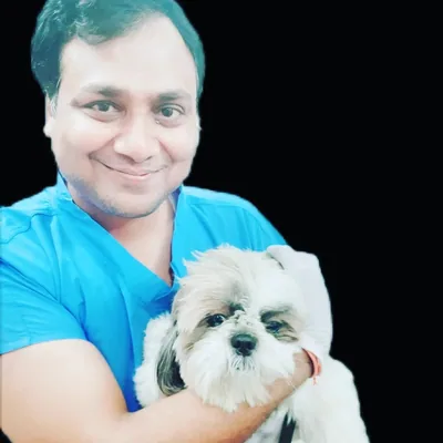 @dogandvet profile image