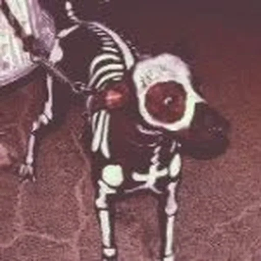 @dogface_7cs profile image
