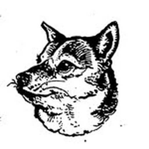 @dogknights profile image