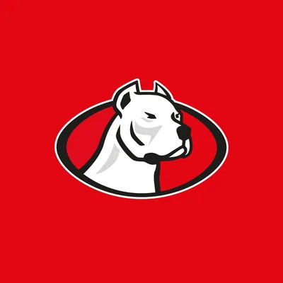 @dogosxv.cba profile image