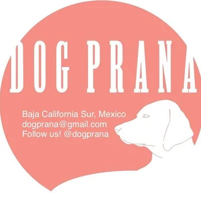 @dogprana profile image