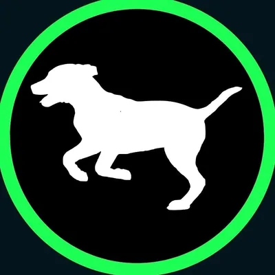 @dogreels profile image