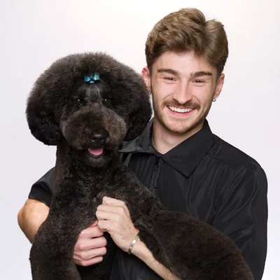 @dogsbylogan profile image