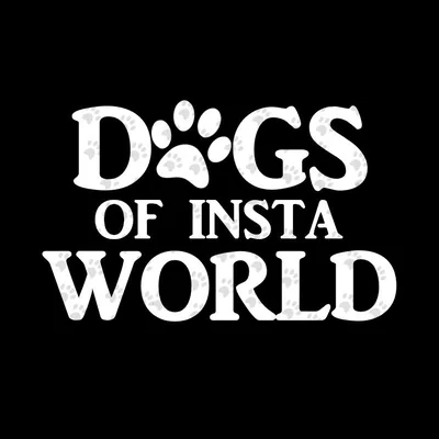@dogsofinstaworld profile image