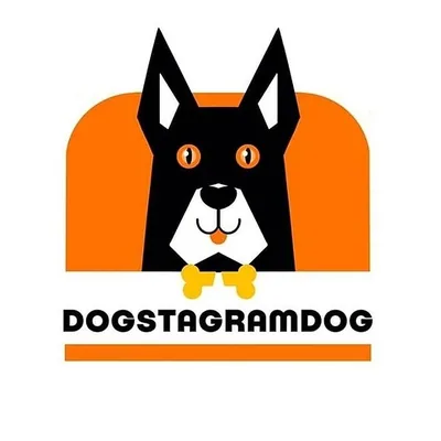 @dogstagramdog profile image