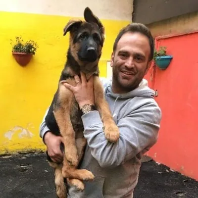 @dogtrainer_omid profile image