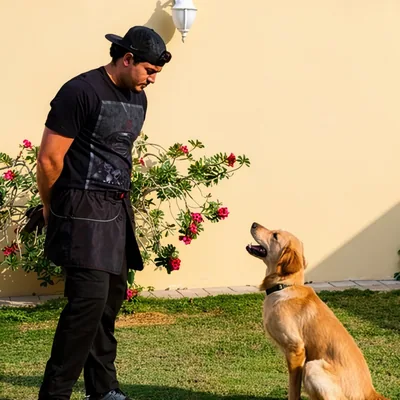 @dogtrainer_oussama profile image