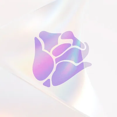 @dolcebellaoficialvzla profile image