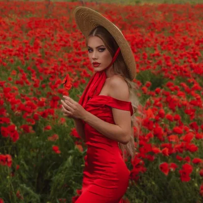 @dollydary profile image