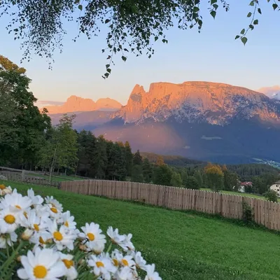 @dolomiti_dolce_vita profile image